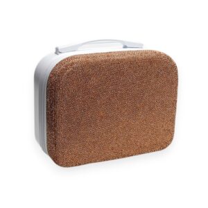 RoseGold Mini Carry On Bag