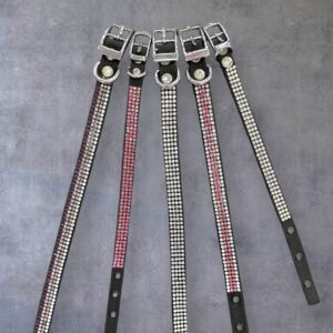 Pack of 5 Buckle Bling Collars