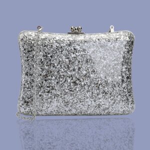 Silver Acrylic Clutch