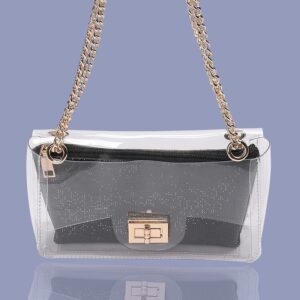 Black Lenore Transparent Bag