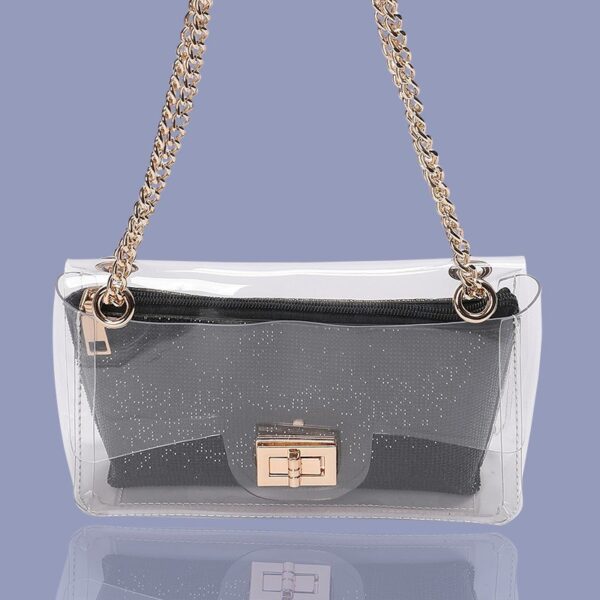 Black Lenore Transparent Bag