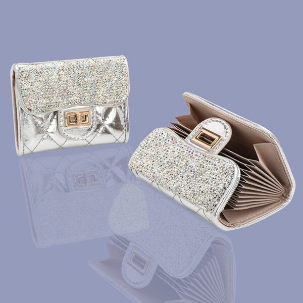 Silver Twin Pack Multi Card Holder